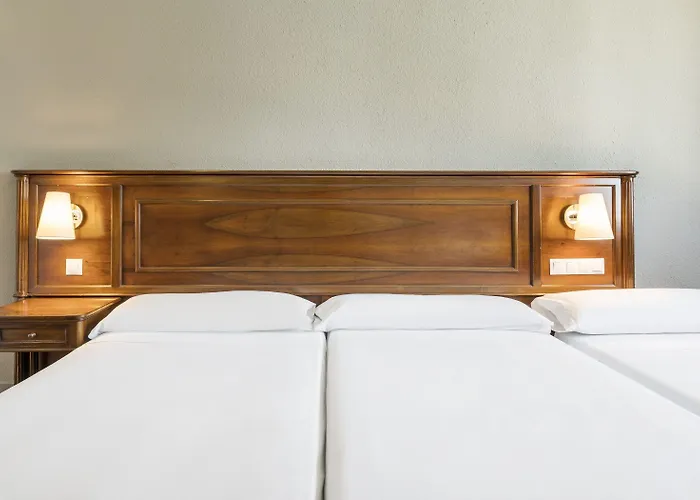 מלון Ilunion Lomas מרידה